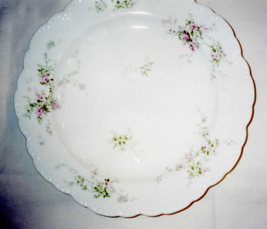 Schleiger 837-2 Dinner Plate by Haviland-1