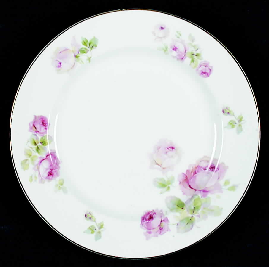 HC742 Dinner Plate by Heinrich - H&C-1
