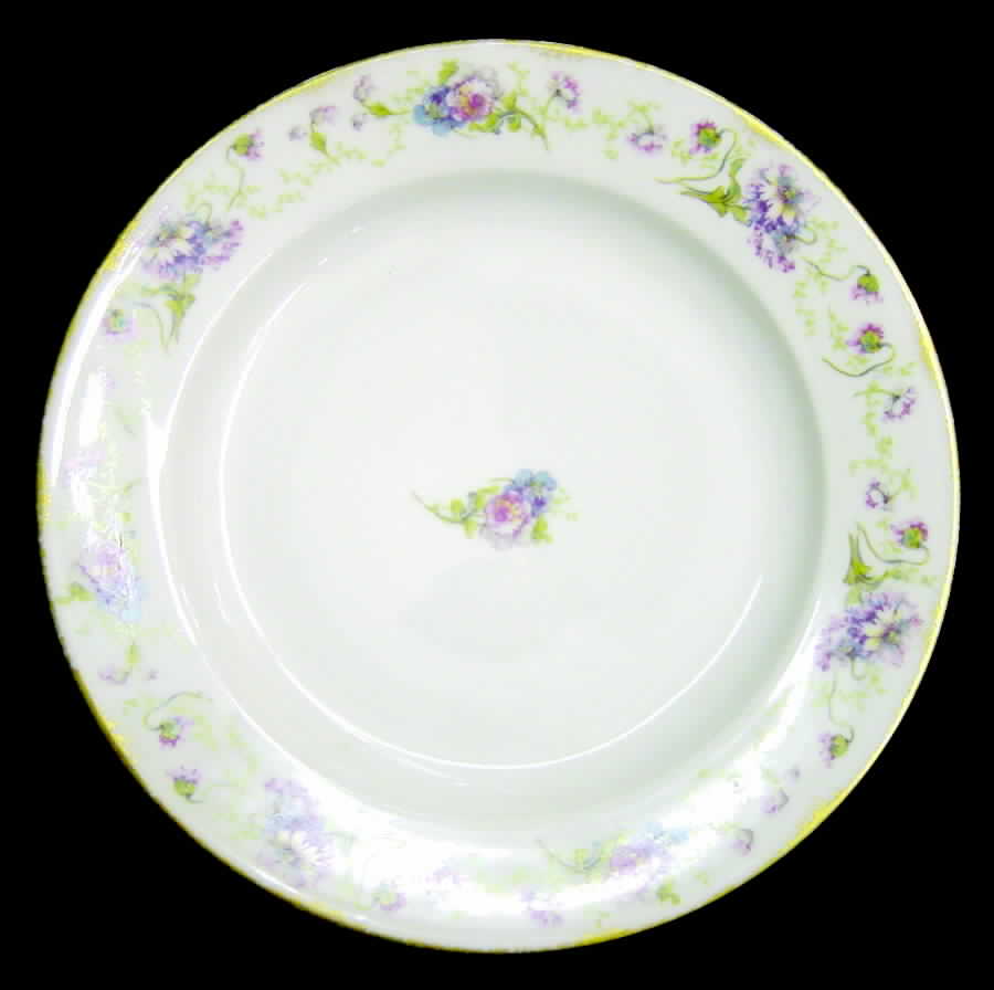 H2206 Dinner Plate by Haviland-1