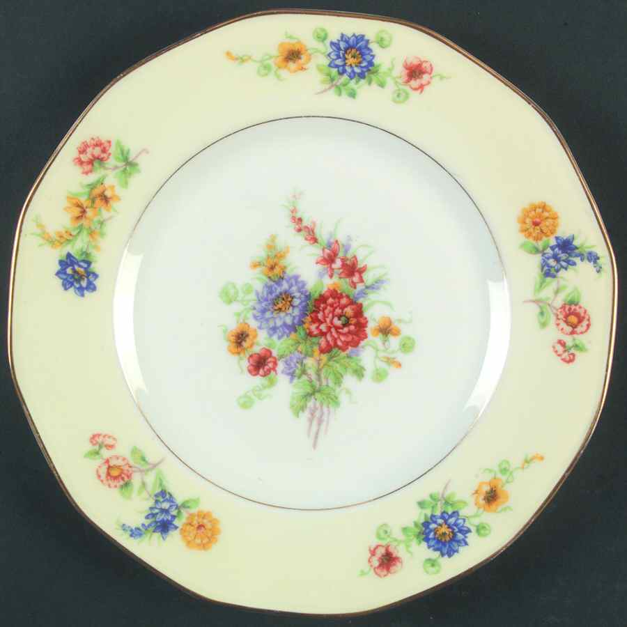 H2207 Dinner Plate by Haviland-1