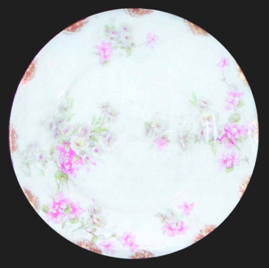 Schleiger 317-5 Salad Plate by Haviland-1