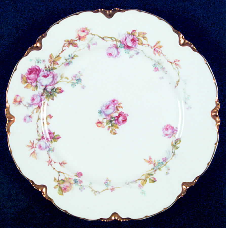 H2216 Dinner Plate by Haviland-1