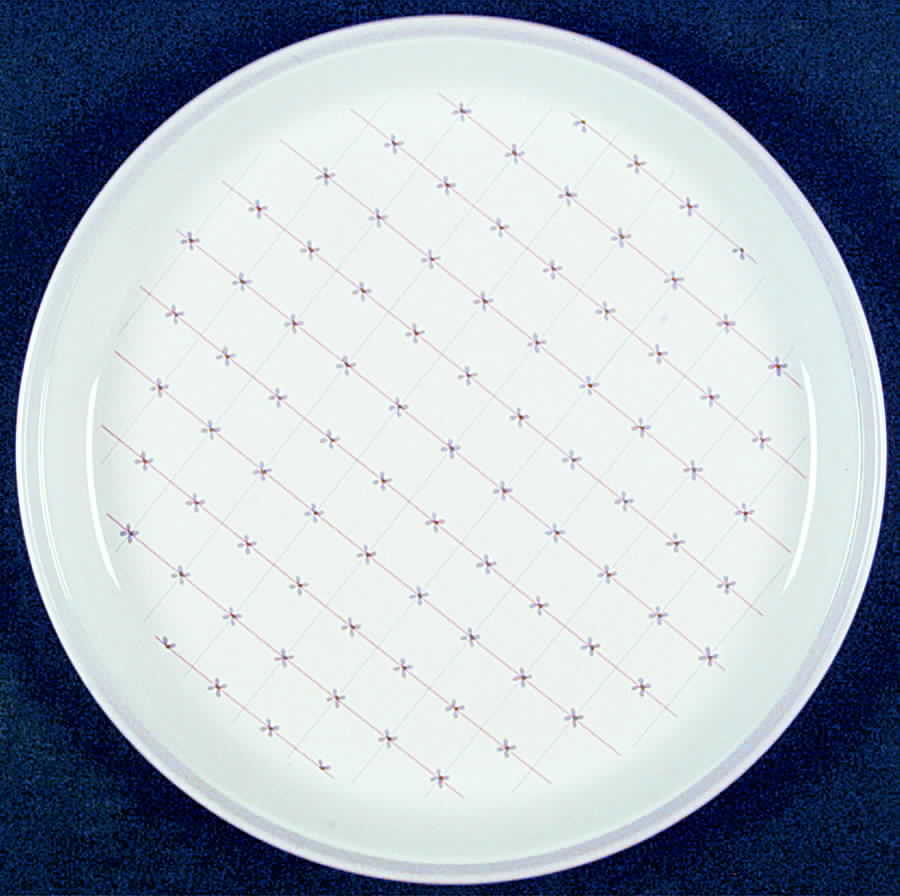 Romantic Dinner Plate by Hornsea-1