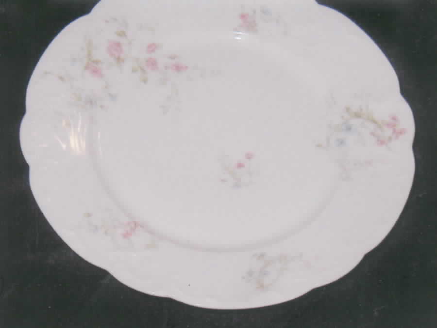 H2248 Dinner Plate by Haviland-1