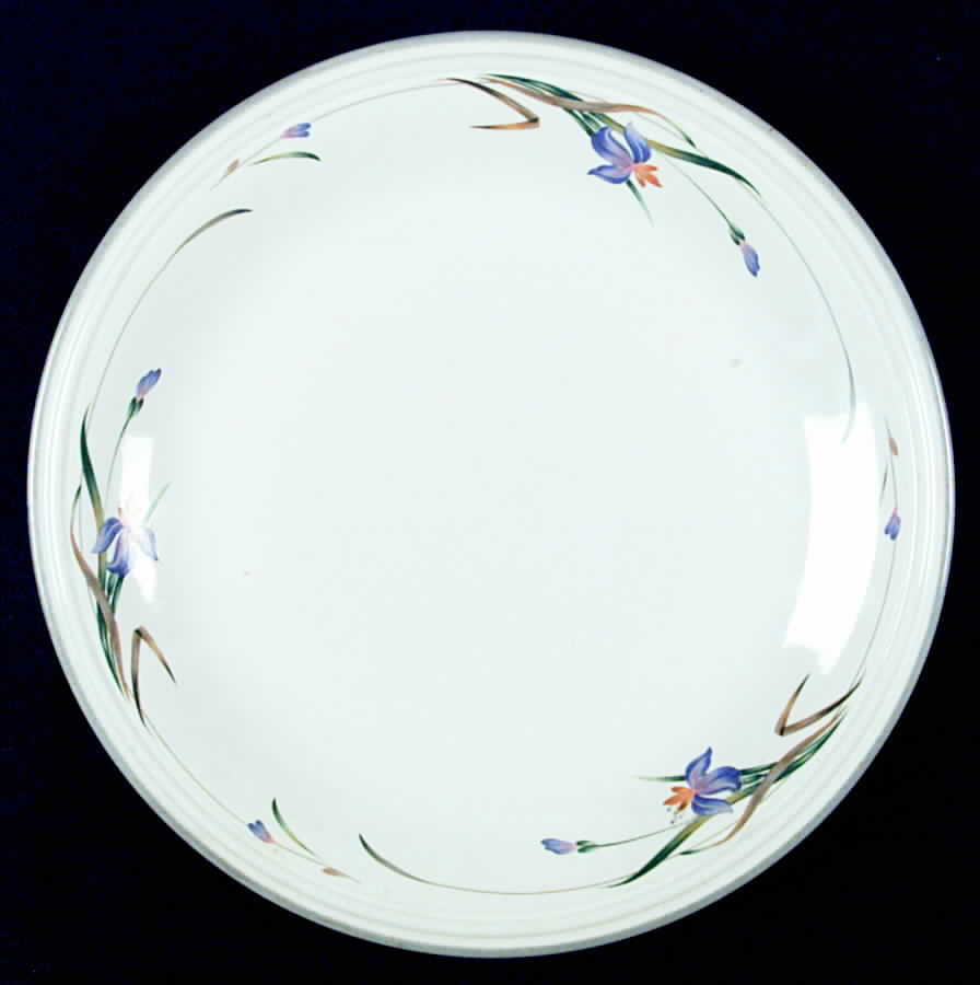 Impromptu Dinner Plate by Home Beautiful-1