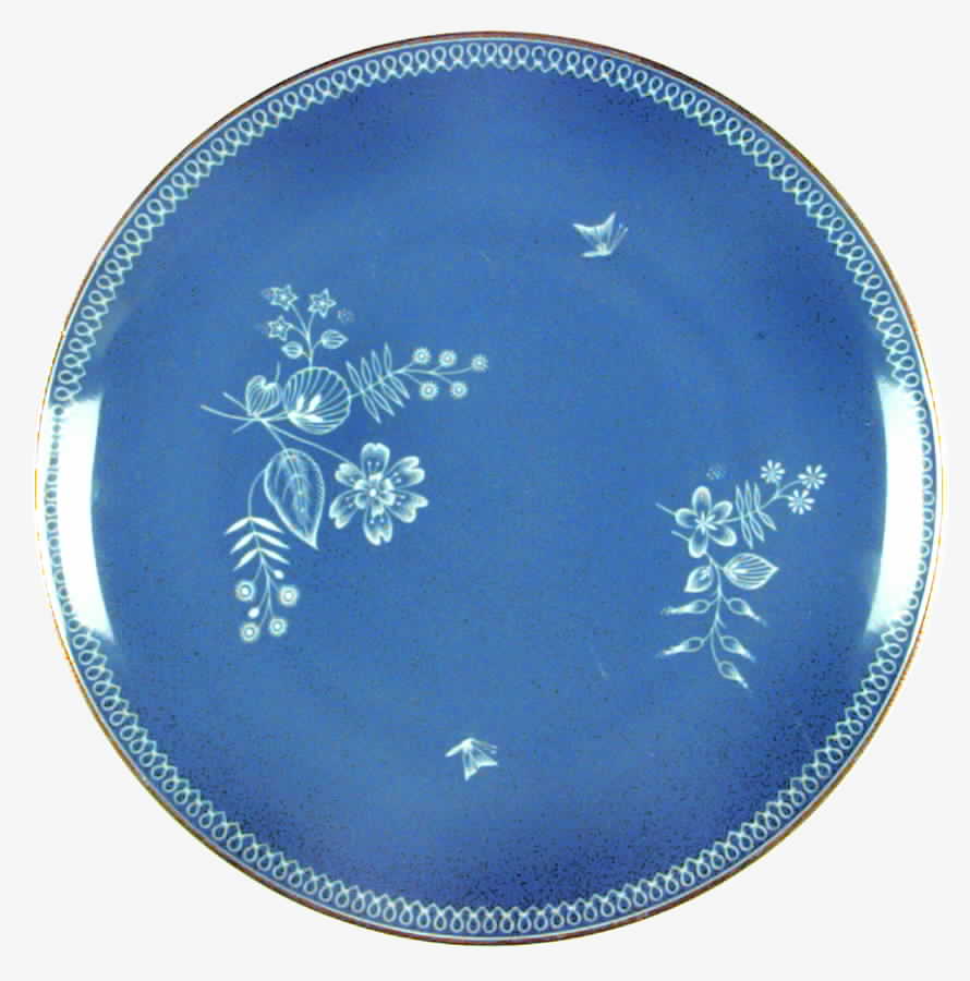HUT1163 Salad Plate by Hutschenreuther-1