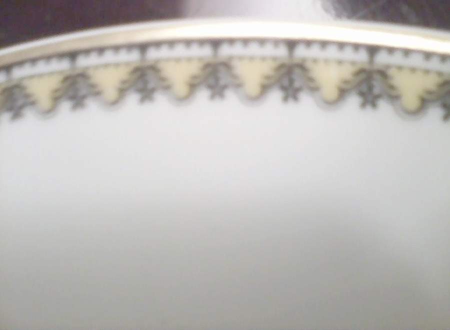 H2259 Dinner Plate by Haviland-1