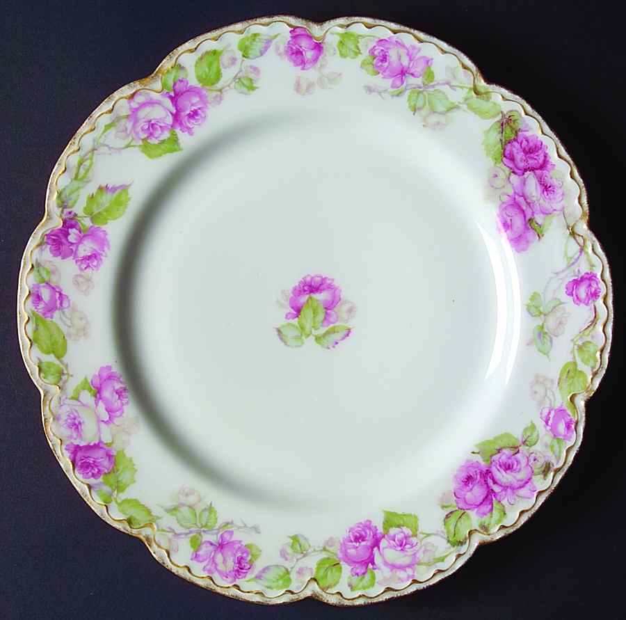 Schleiger 267-2 Dinner Plate by Haviland-1