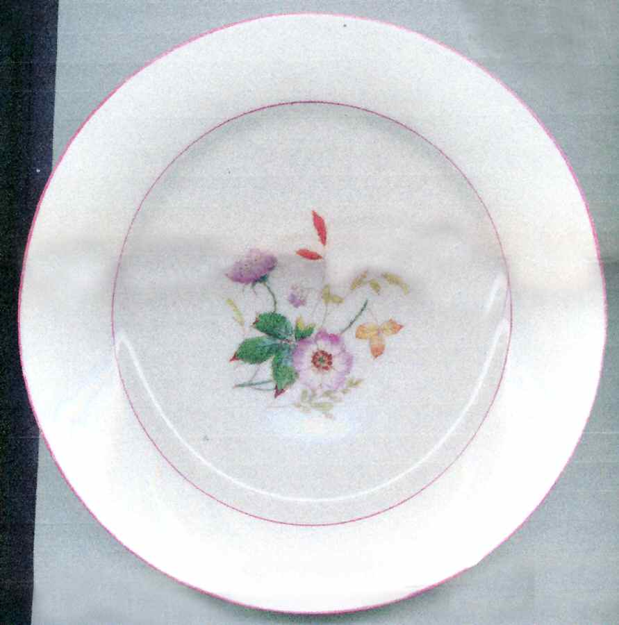 H2263 Salad Plate by Haviland-1