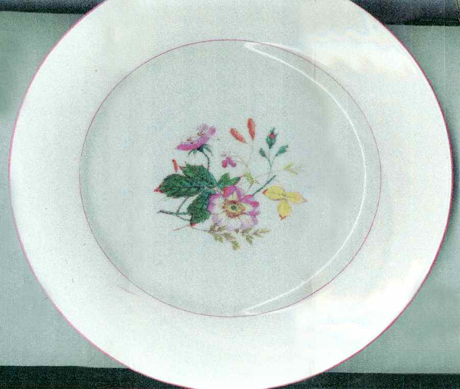 H2263 Dinner Plate by Haviland-1