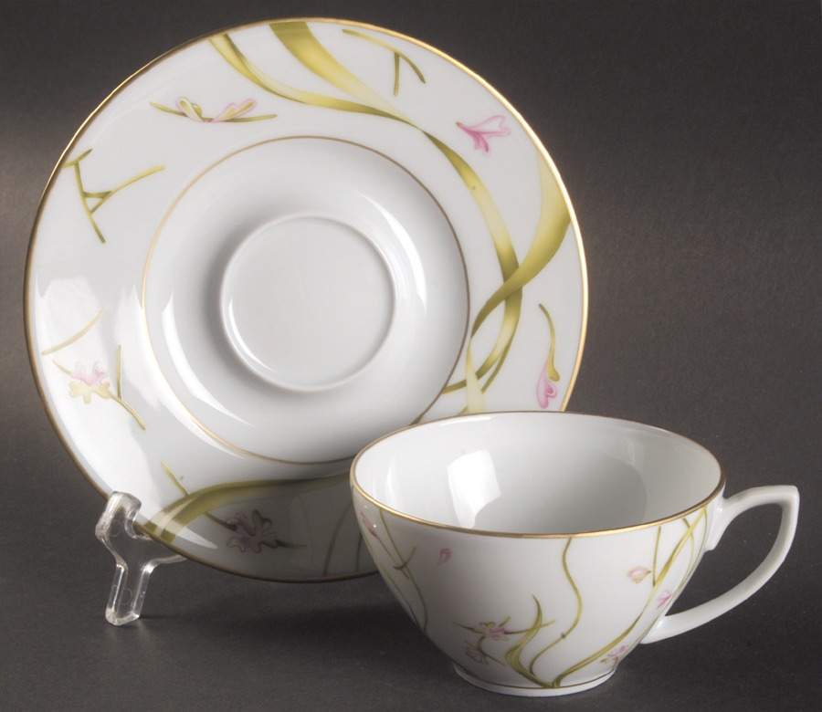 Amaryllis Flat Cup & Saucer Set by Haviland-1