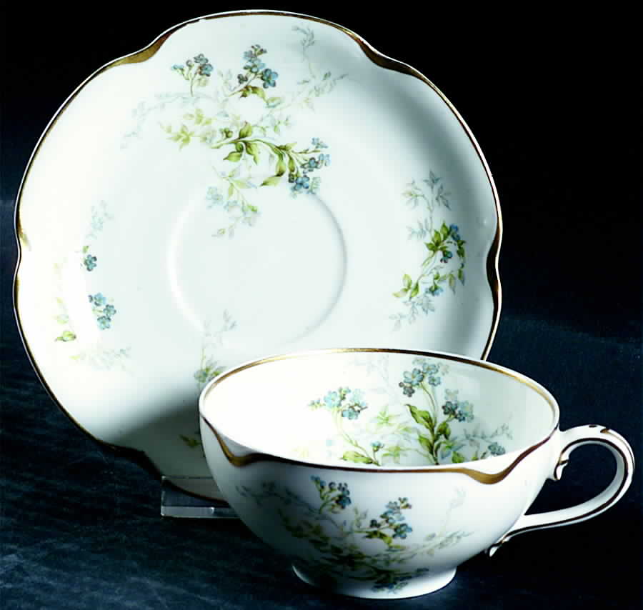 H2268 Flat Cup & Saucer Set by Haviland-1