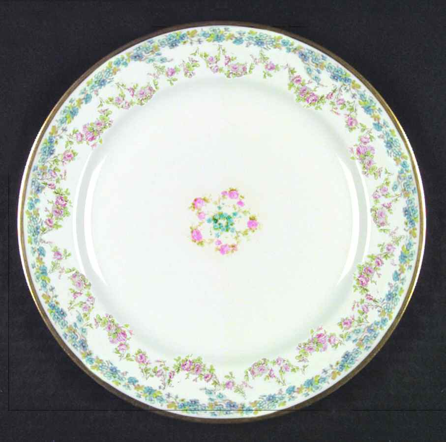 Schleiger 271-2 Dinner Plate by Haviland-1
