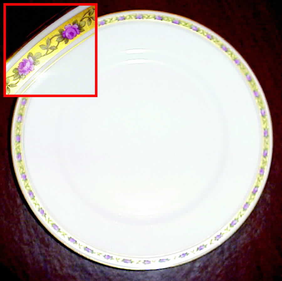 H2274 Dinner Plate by Haviland-1