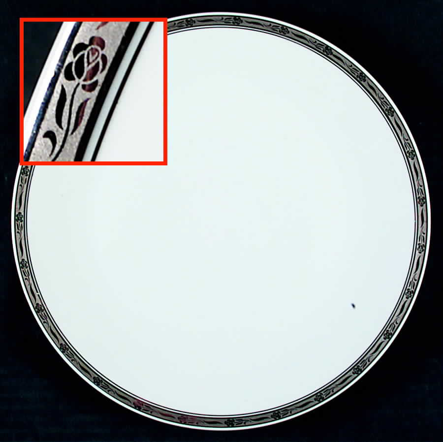 HUT1176 Dinner Plate by Hutschenreuther-1