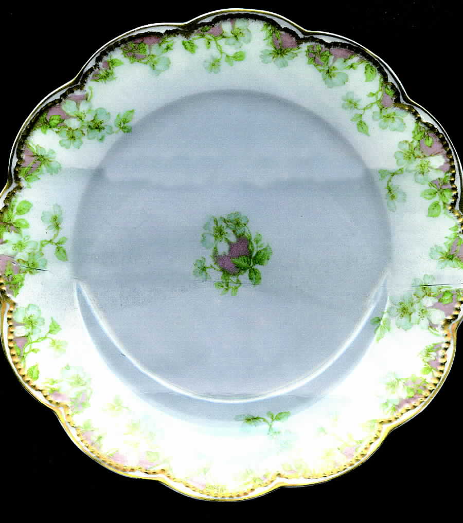 Schleiger 33-1 Salad Plate by Haviland-1