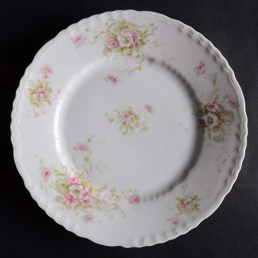 Schleiger 313-3 Dinner Plate by Haviland-1