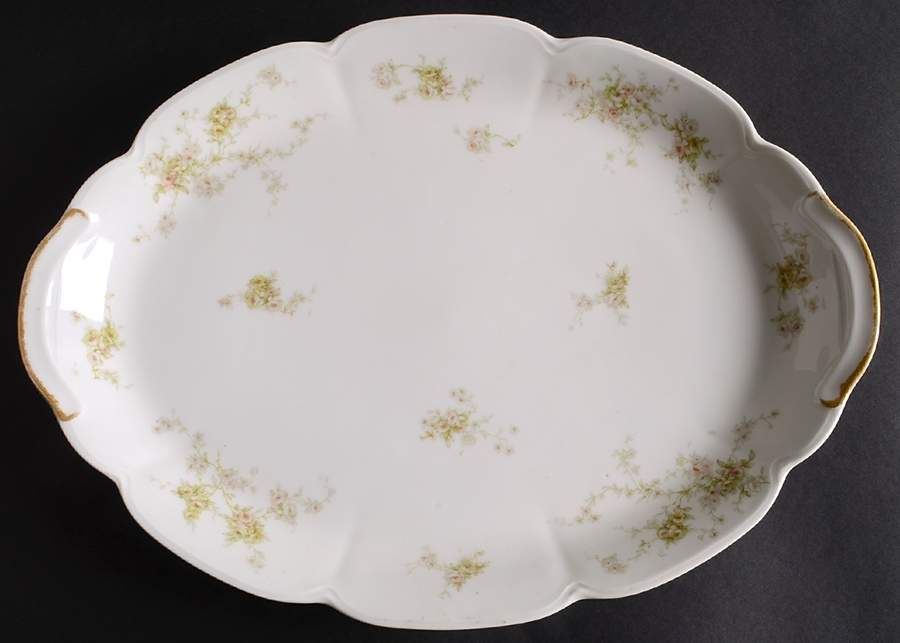 Schleiger 837-5 16" Oval Serving Platter by Haviland-1