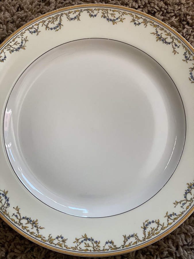H2314 Dinner Plate by Haviland-1