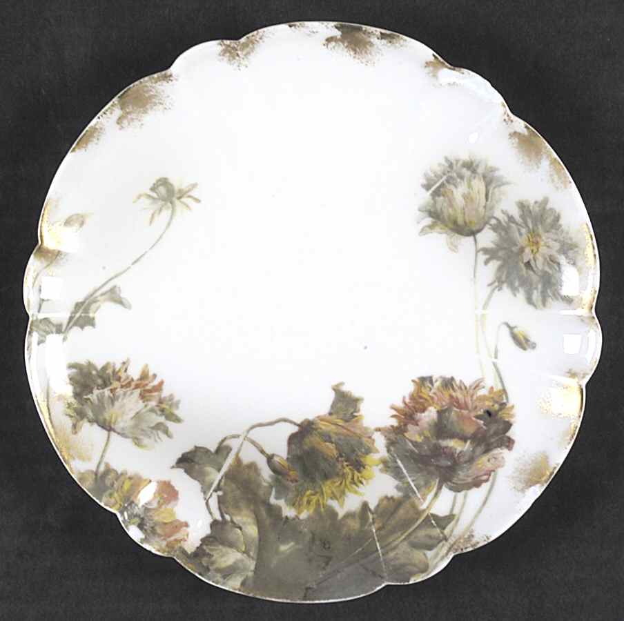 Flowers and Seeds (Blank 10) Coupe Salad Plate by Haviland-1