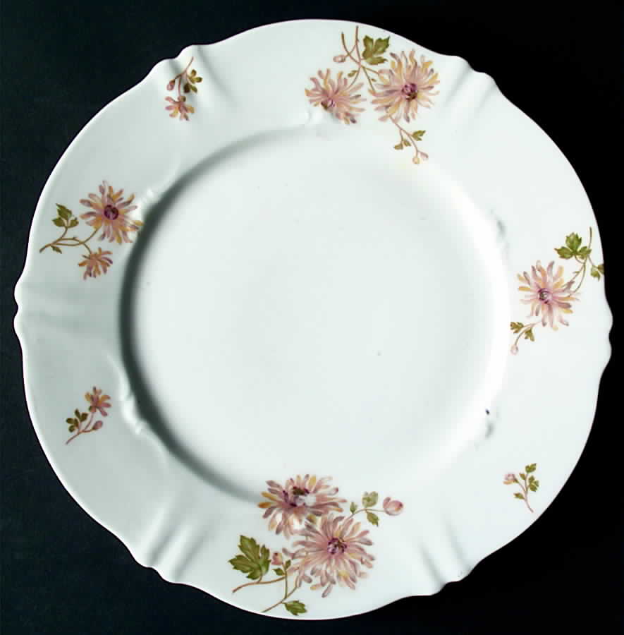 H2325 Dinner Plate by Haviland-1