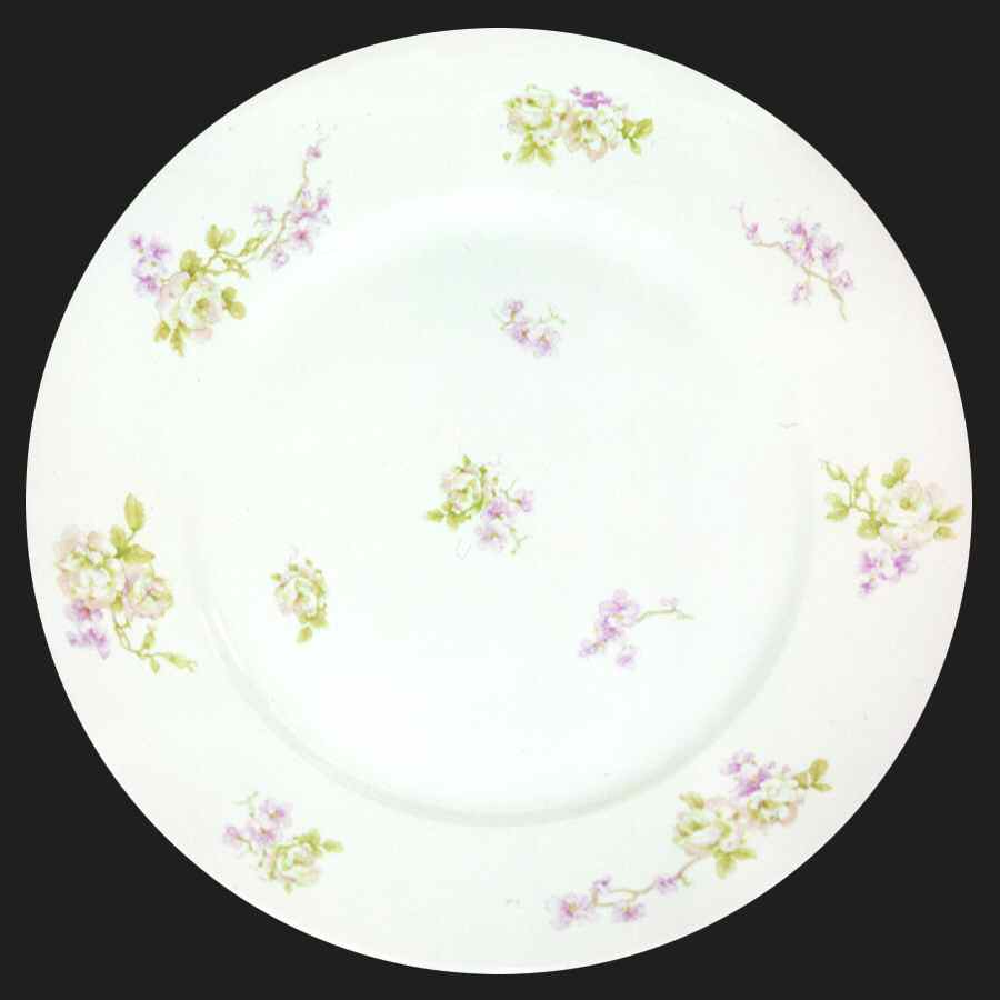 H2333 Dinner Plate by Haviland-1