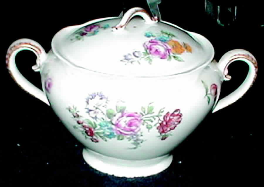 H379 Sugar Bowl & Lid by Haviland-1