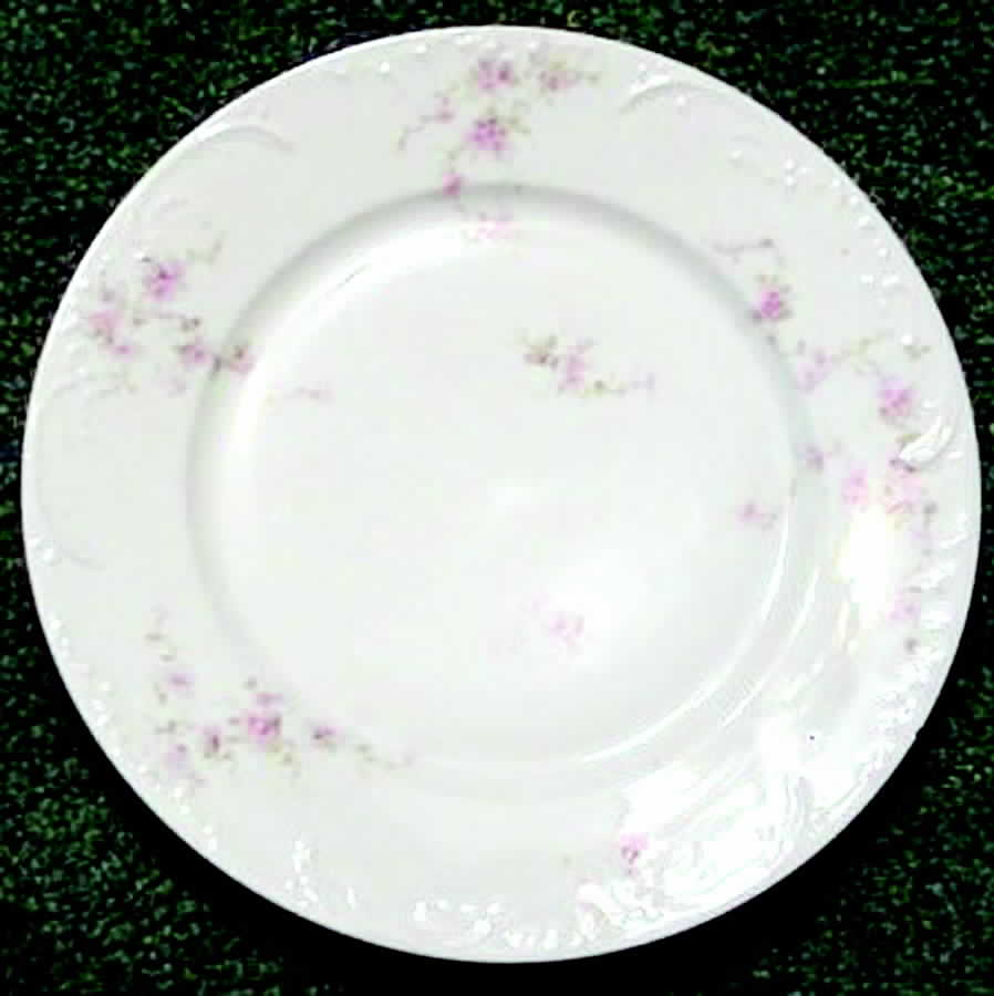 Schleiger 159-3 Dinner Plate by Haviland-1