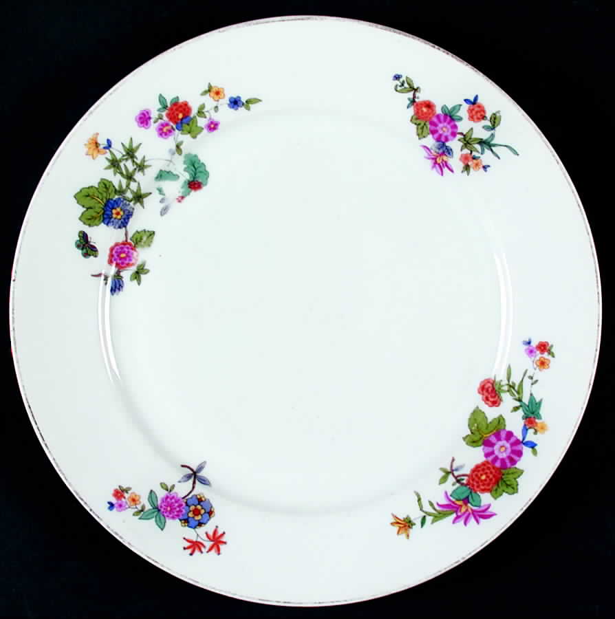 HCZ66 Dinner Plate by Haas-Czjzek Coronado-1
