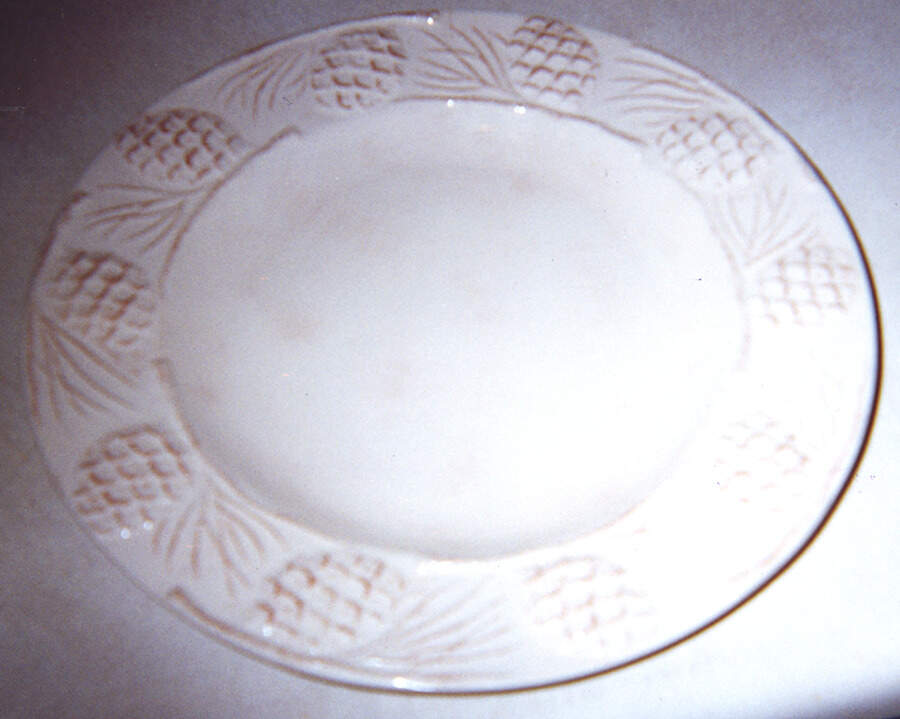 Holiday Pine Cone White Dinner Plate by Home-1