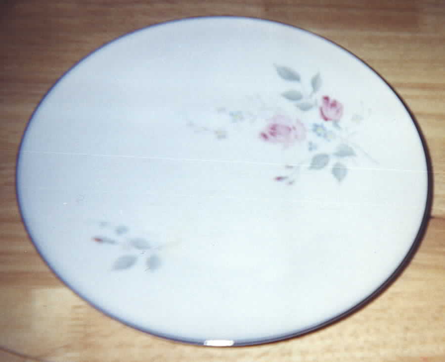 HC766 Dinner Plate by Heinrich - H&C-1