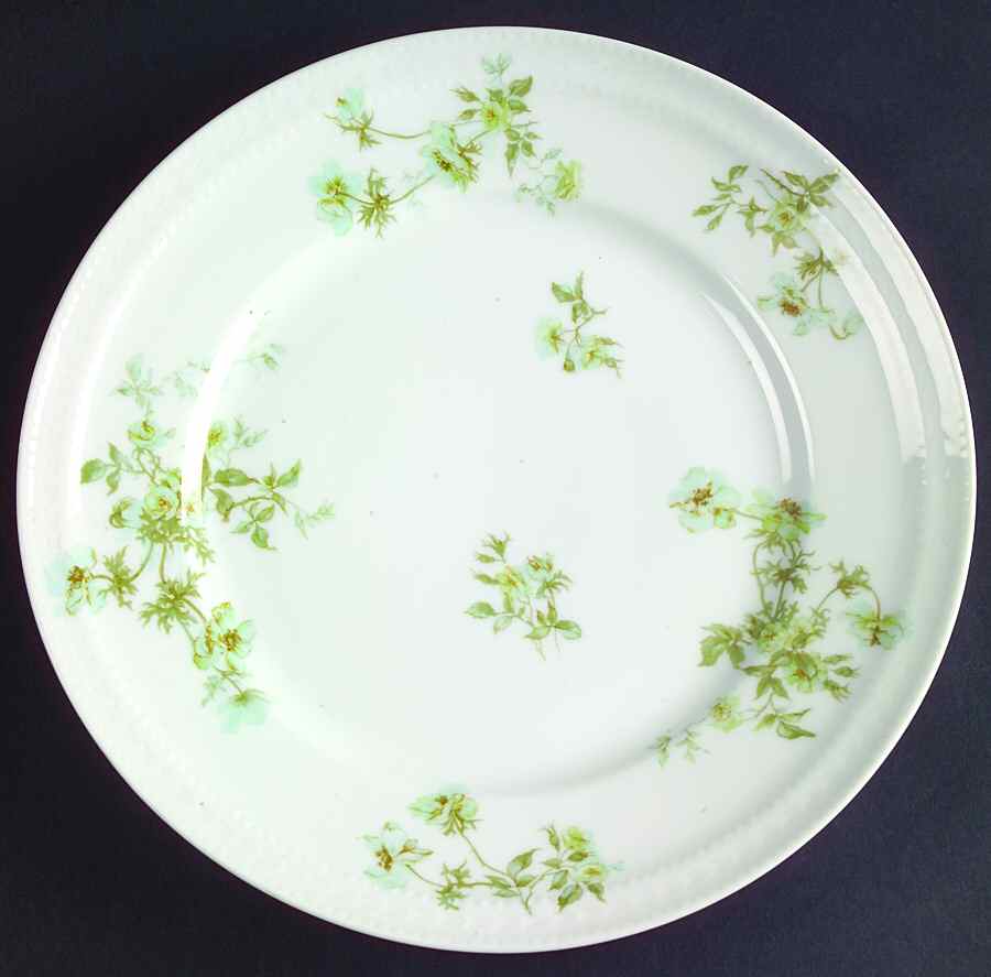 Schleiger 660-2 Dinner Plate by Haviland-1