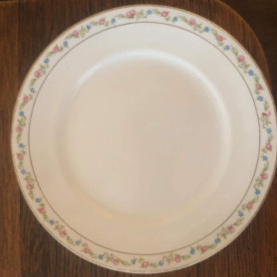 HLC2256 Dinner Plate by Homer Laughlin -1