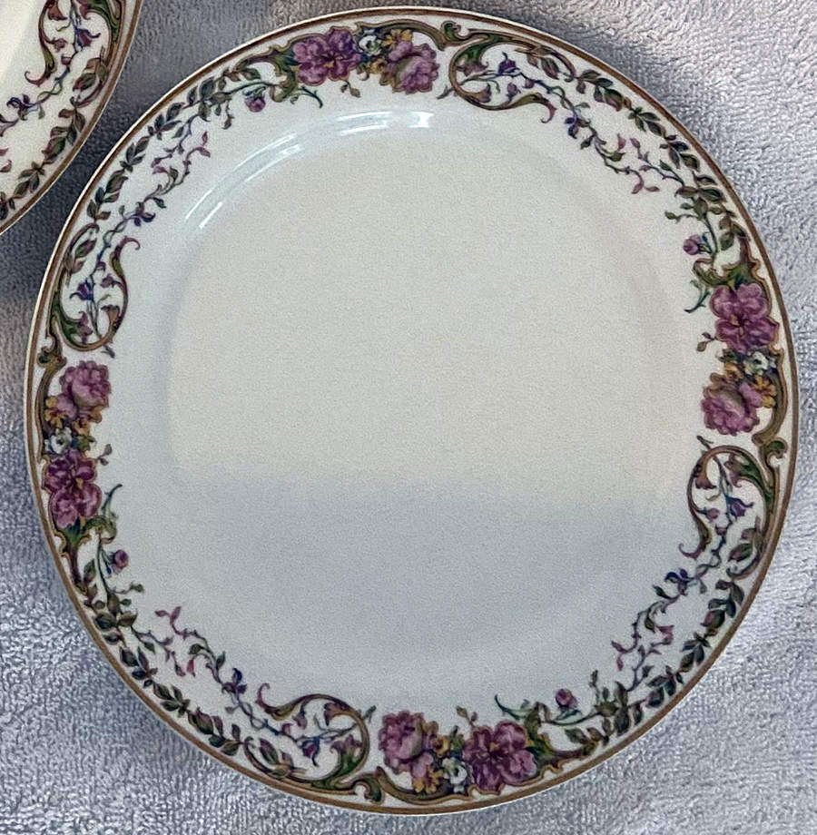 Schleiger 691-1 Salad Plate by Haviland-1