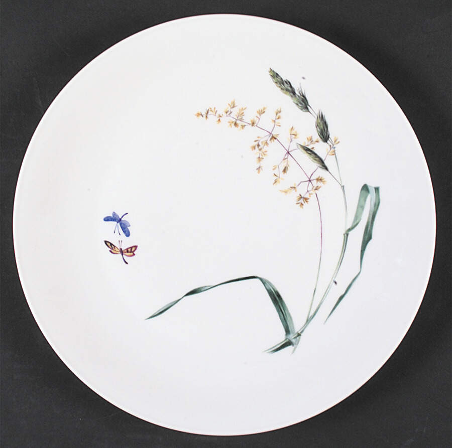 Sommer (Coupe, Smooth, No Trim) Dinner Plate by Heinrich - H&C-1