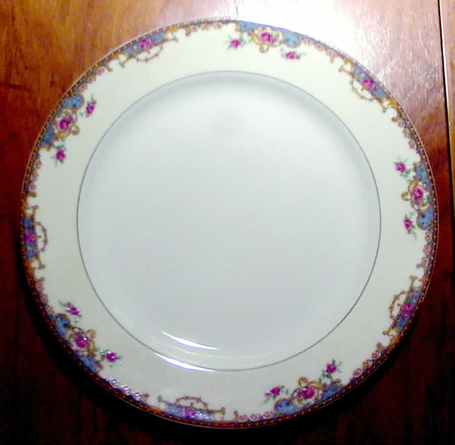 Schleiger 700-1 Dinner Plate by Haviland-1