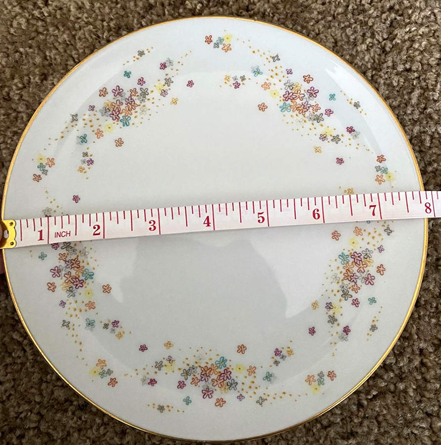 Frolic Salad Plate by Heinrich - H&C-1