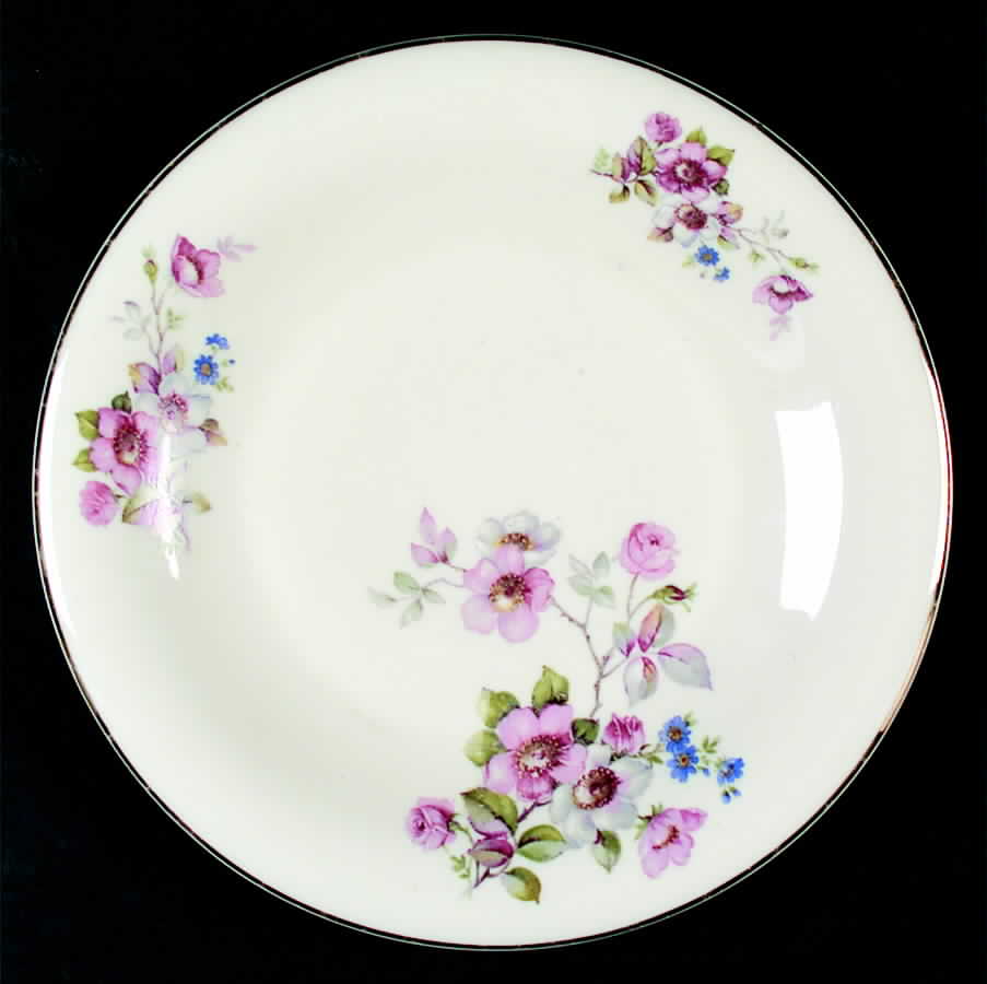 01957 (Margarete, Smooth) Dinner Plate by Hutschenreuther-1