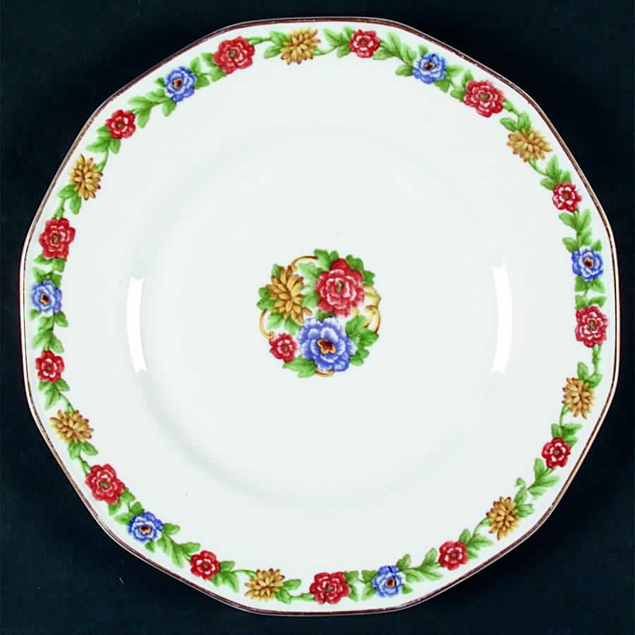 H2380 Dinner Plate by Haviland-1
