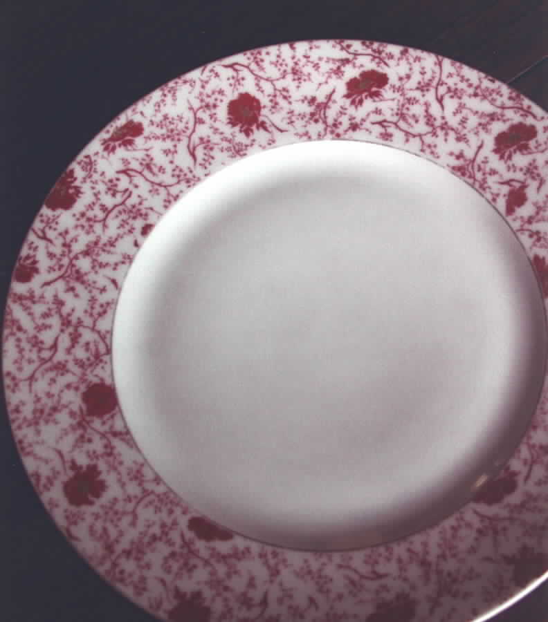 H2383 Dinner Plate by Haviland-1