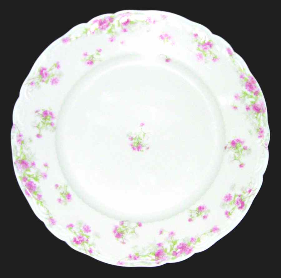 Schleiger 262-1 Dinner Plate by Haviland-1