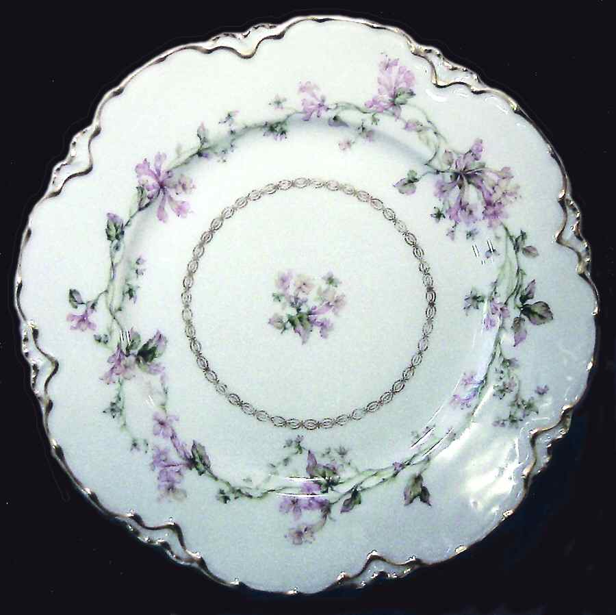 H2554 Dinner Plate by Haviland-1