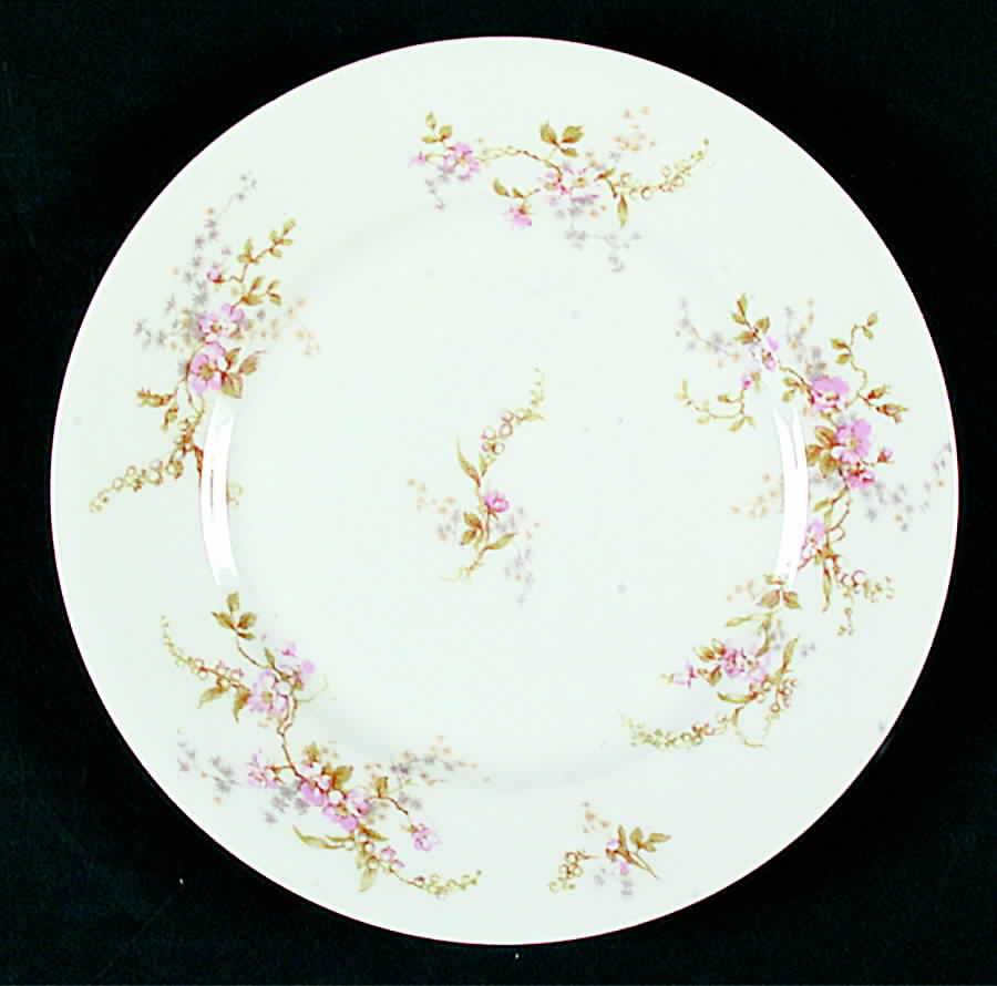 Schleiger 1239 Salad Plate by Haviland-1