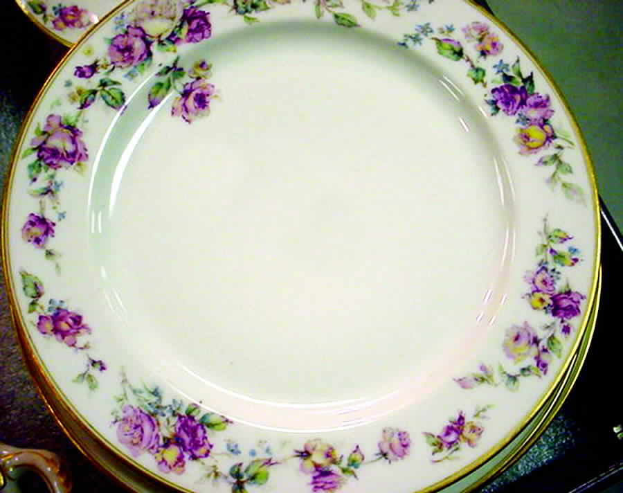 H2408 Dinner Plate by Haviland-1