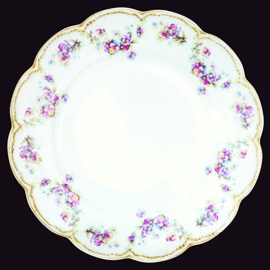 H2422 Dinner Plate by Haviland-1