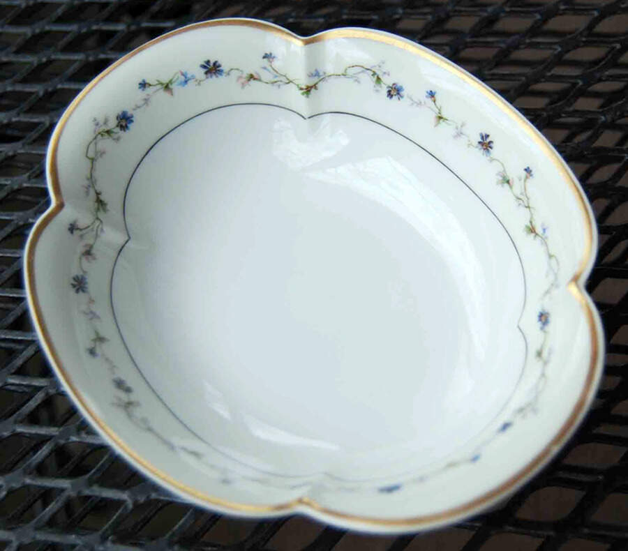Schleiger 286-2 Fruit/Dessert (Sauce) Bowl by Haviland-1