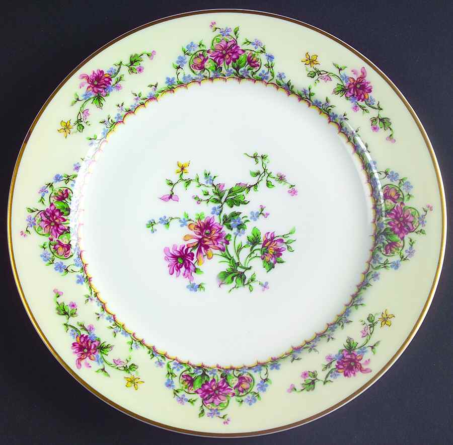 Montrose Salad Plate by Haviland-1