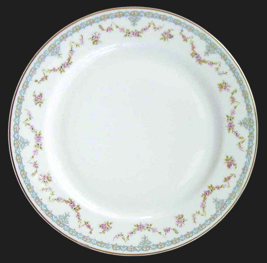 H2434 Dinner Plate by Haviland-1
