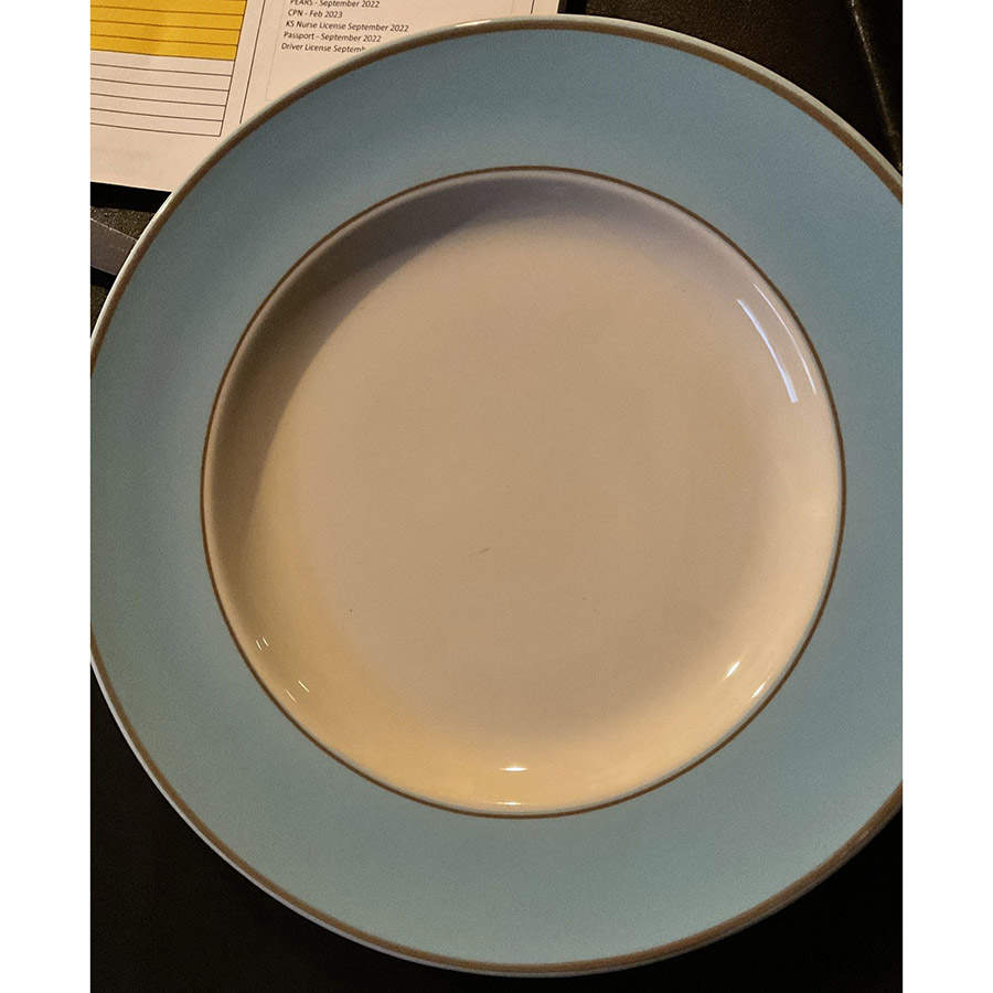 HLC2297 Dinner Plate by Homer Laughlin -1