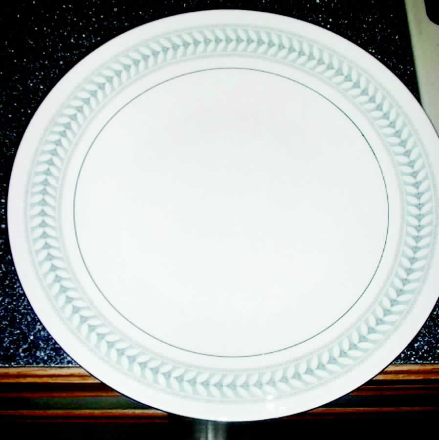 HUT1243 Dinner Plate by Hutschenreuther-1